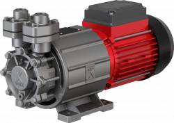 Regenerative turbine pump Speck Pumpen CY-4281-MK-HT